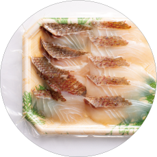 さとうしょうこのじざかなレシピ 真鯛 じざかなびプラス 知る 買う つながる福岡地魚通販サイト じざかなびプラス 知る 買う つながる福岡地魚通販サイト